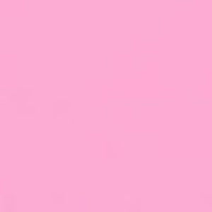 Meet your Posher, Dora